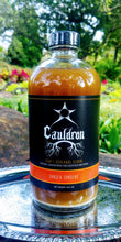 Load image into Gallery viewer, Cauldron GINGER GINSENG ELIXIR - Craft Vinegar Shrub 8 oz
