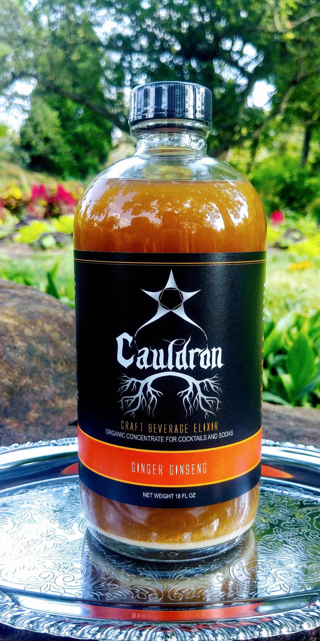 Cauldron GINGER GINSENG ELIXIR - Craft Vinegar Shrub 8 oz